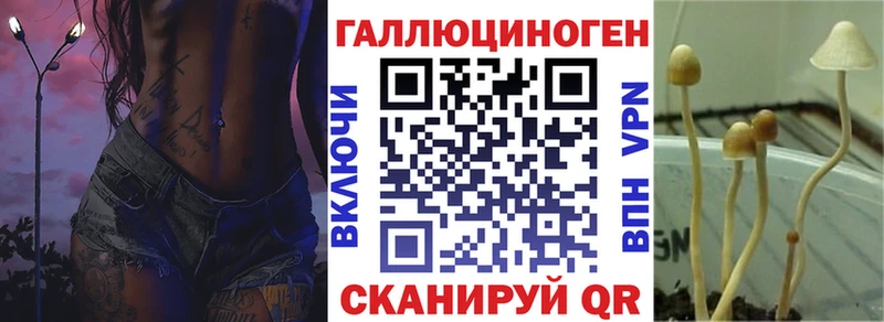купить наркоту  Ясногорск  Псилоцибиновые грибы мицелий 